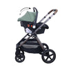 Jungle Cruze 2u1 kolica za bebe