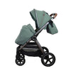 Jungle Cruze 2u1 kolica za bebe