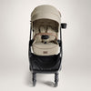 Joie Valora trio sistem, Sandstone
